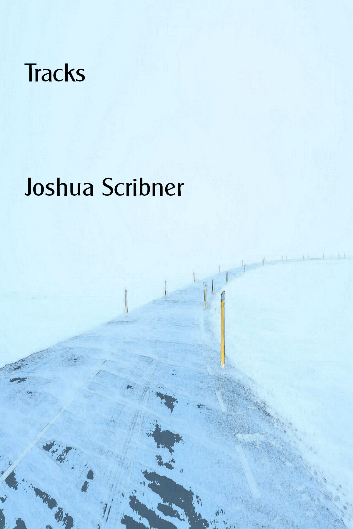 Tracks by Joshua Scribner