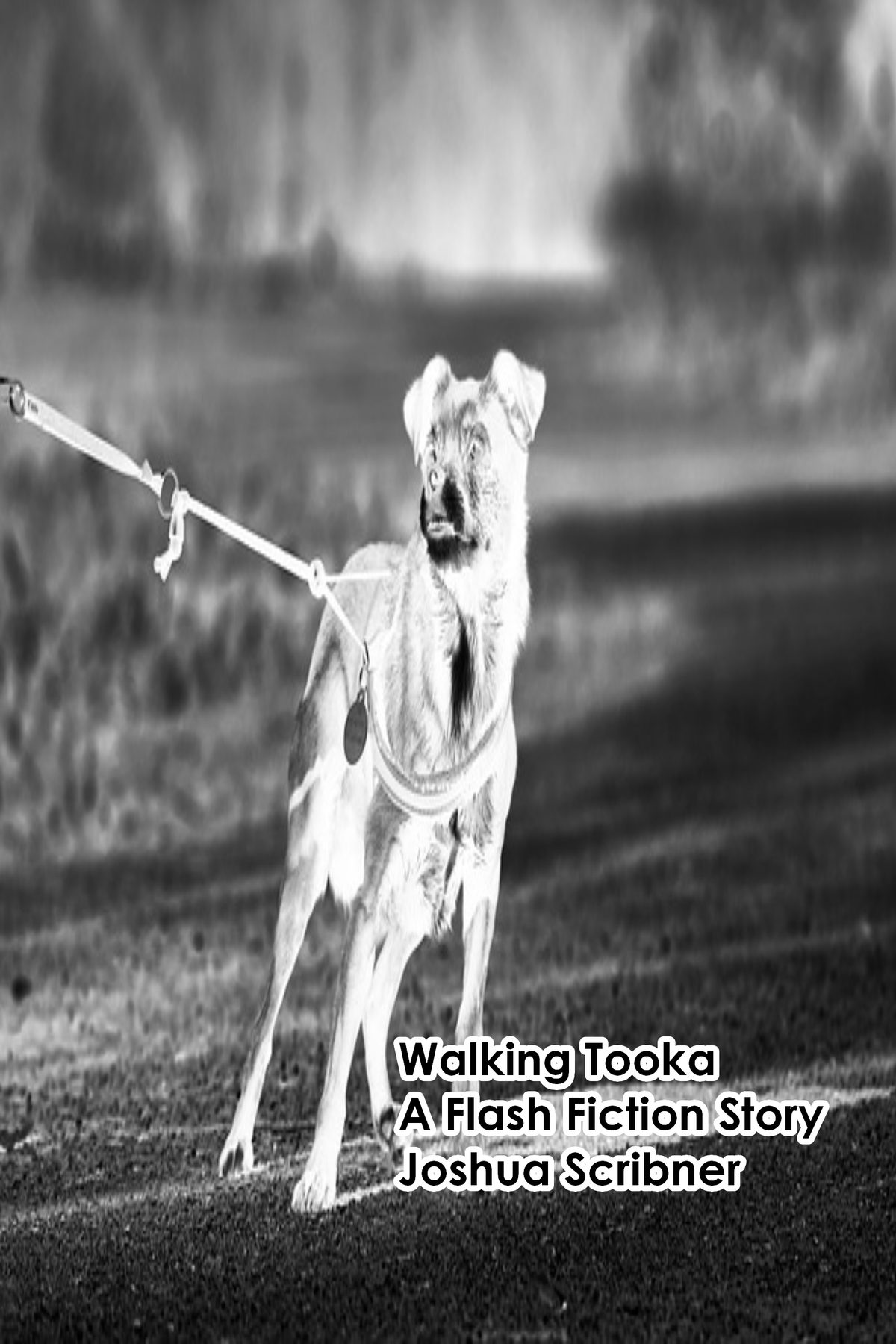 Walking Tooka: A Flash Fiction Story by Joshua Scribner
