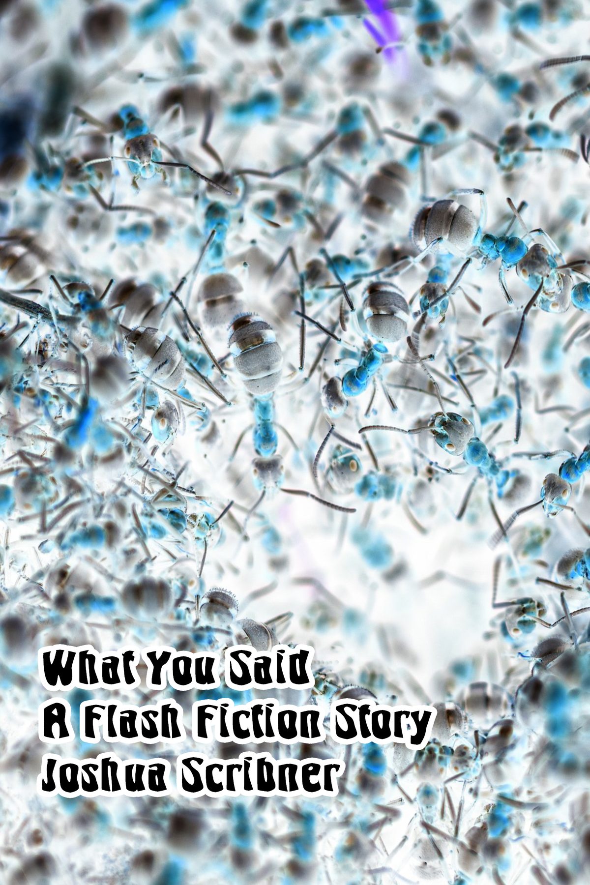 What You Said: A Flash Fiction Story by Joshua Scribner