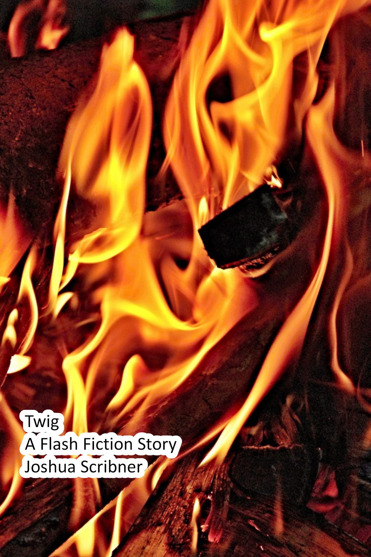 Twig: A Flash Fiction Story by Joshua Scribner