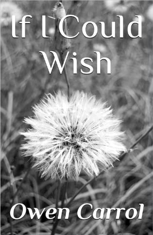 If I Could Wish by Owen Carrol