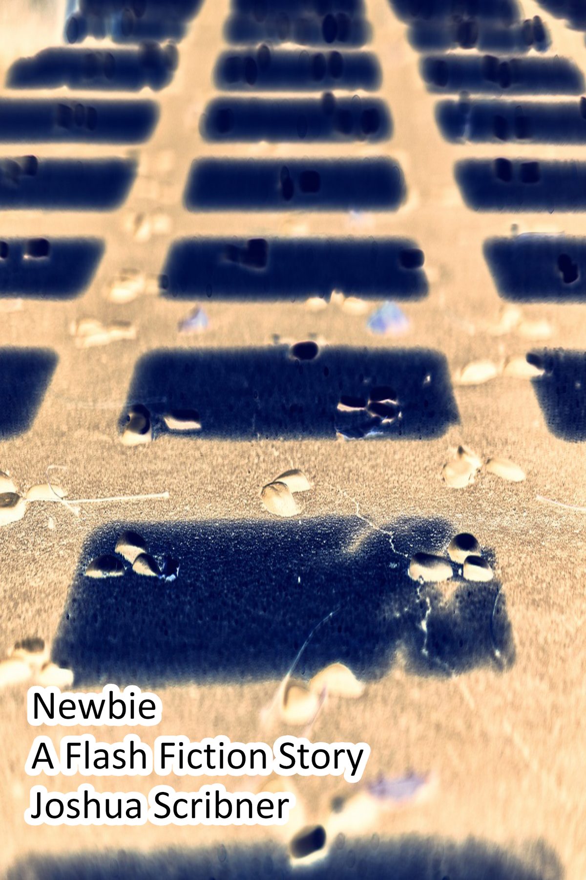 Newbie: A Flash Fiction Story by Joshua Scribner