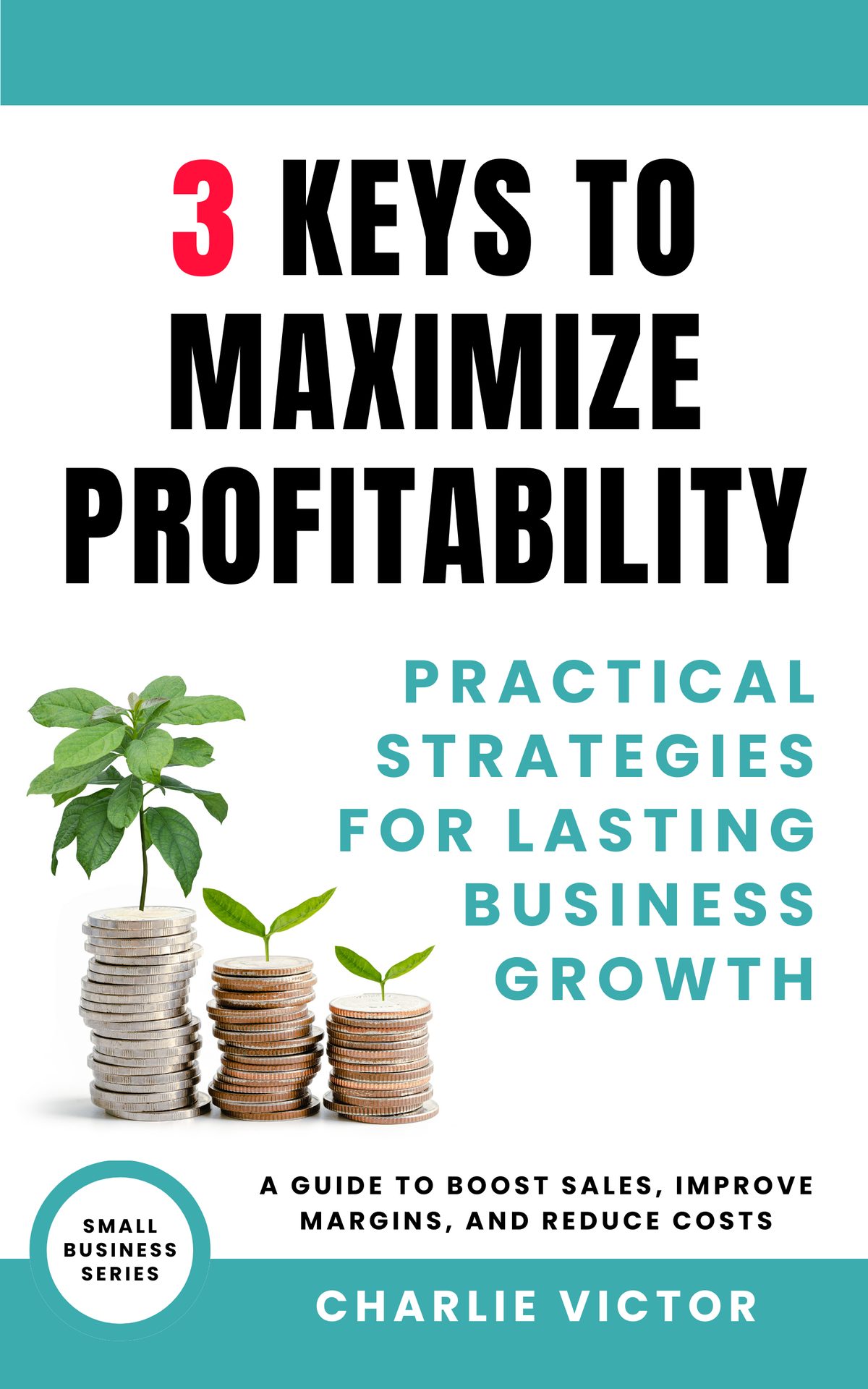 3 Keys to Maximize Profitability: Practical Strategies for Lasting Business Growth by Charlie Victor