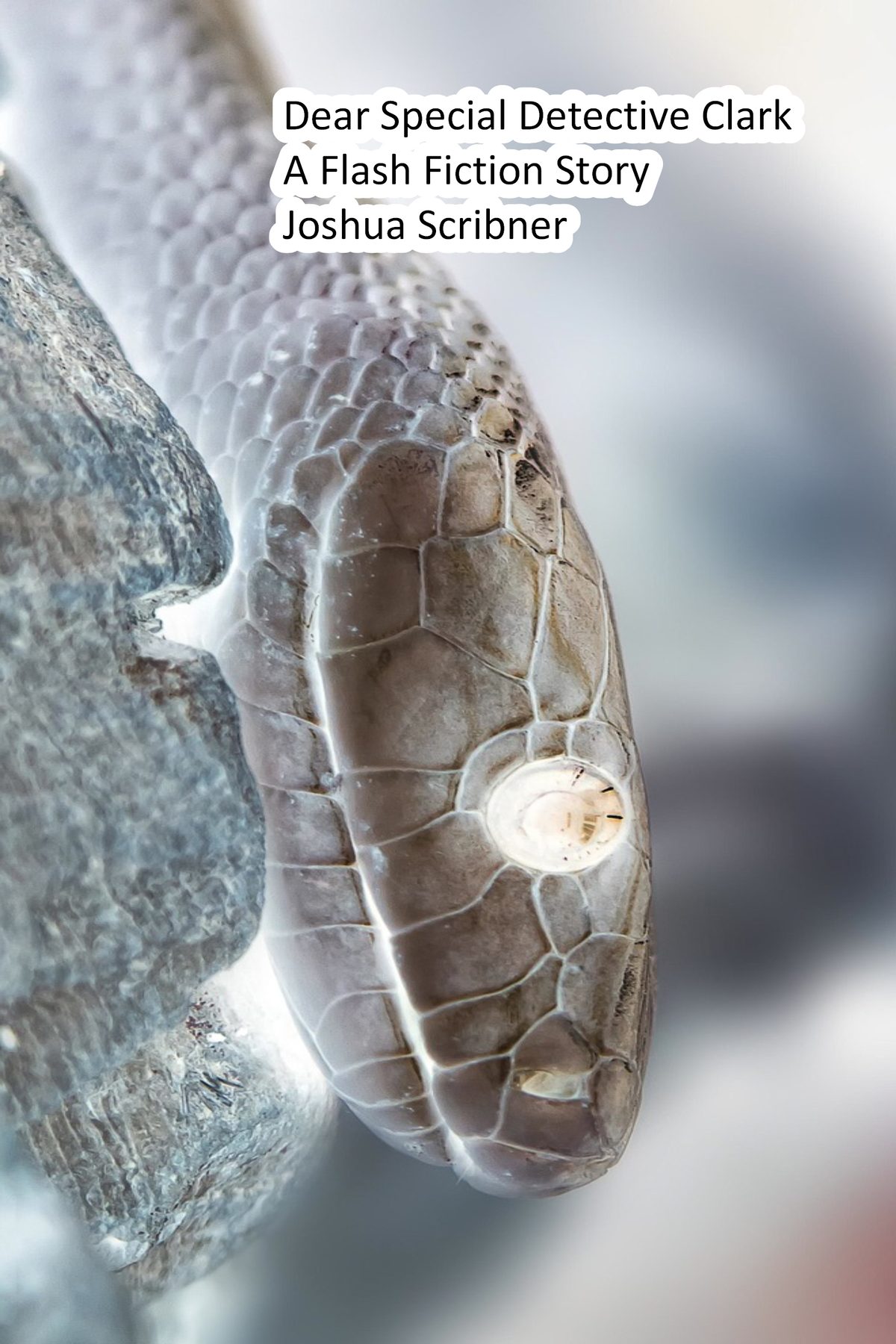 Dear Special Detective Clark: A Flash Fiction Story by Joshua Scribner