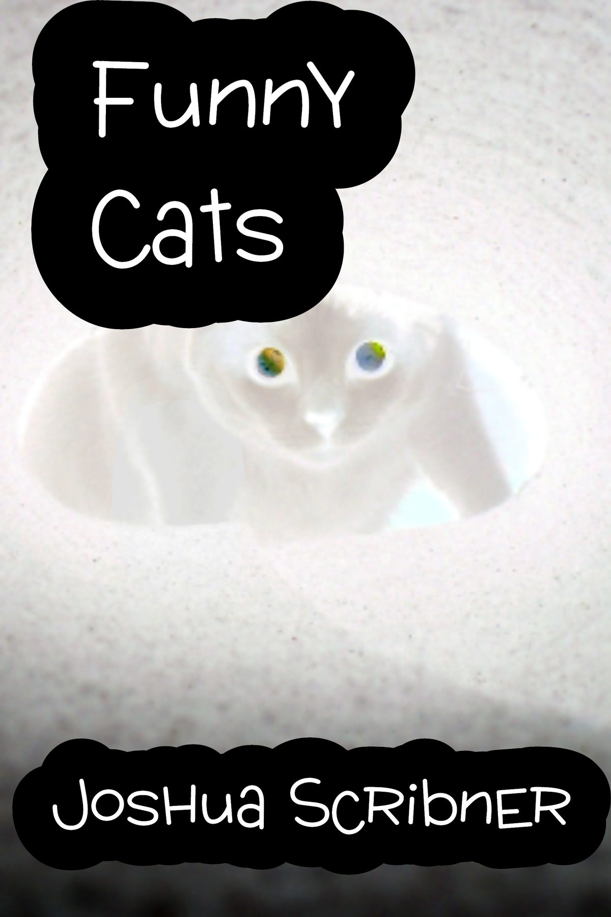 Funny Cats by Joshua Scribner