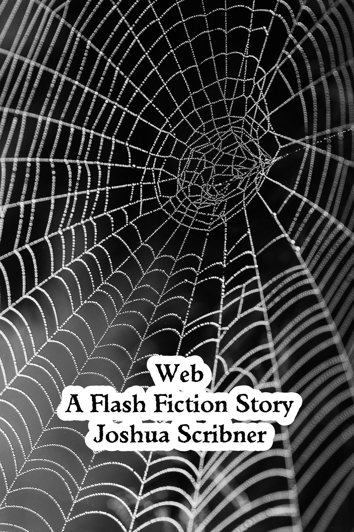 Web: A Flash Fiction Story by Joshua Scribner