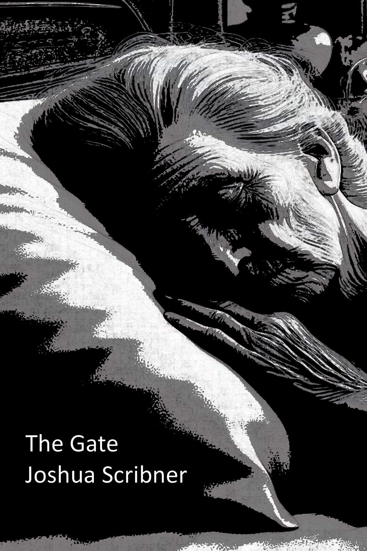 The Gate by Joshua Scribner