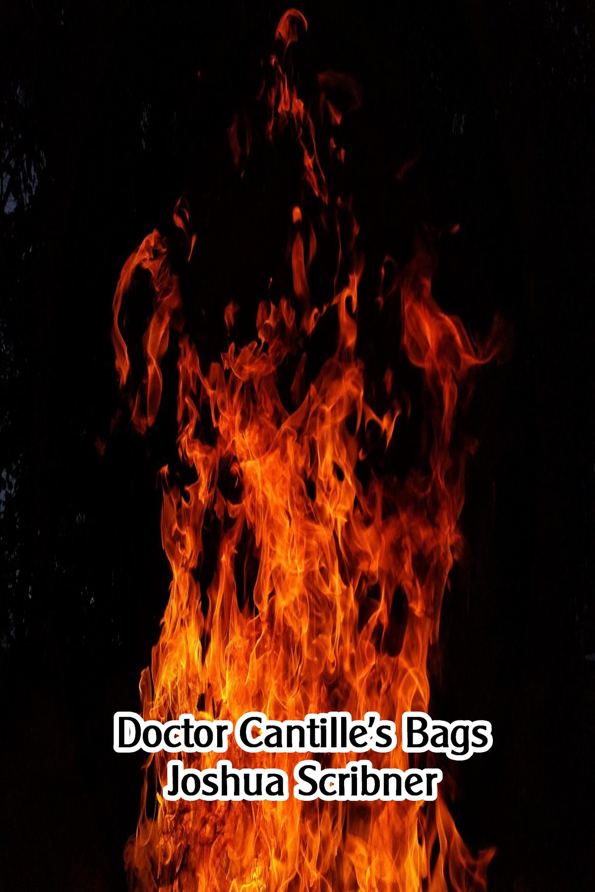 Doctor Cantille’s Bags by Joshua Scribner
