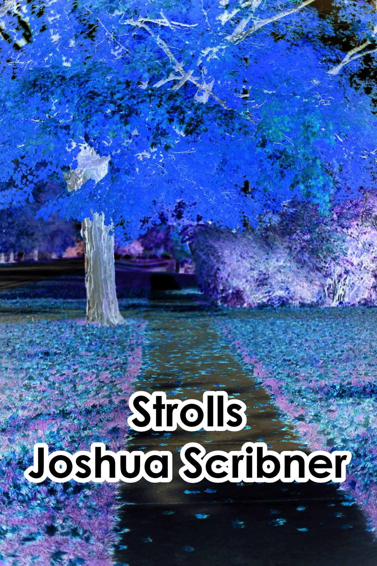Strolls by Joshua Scribner