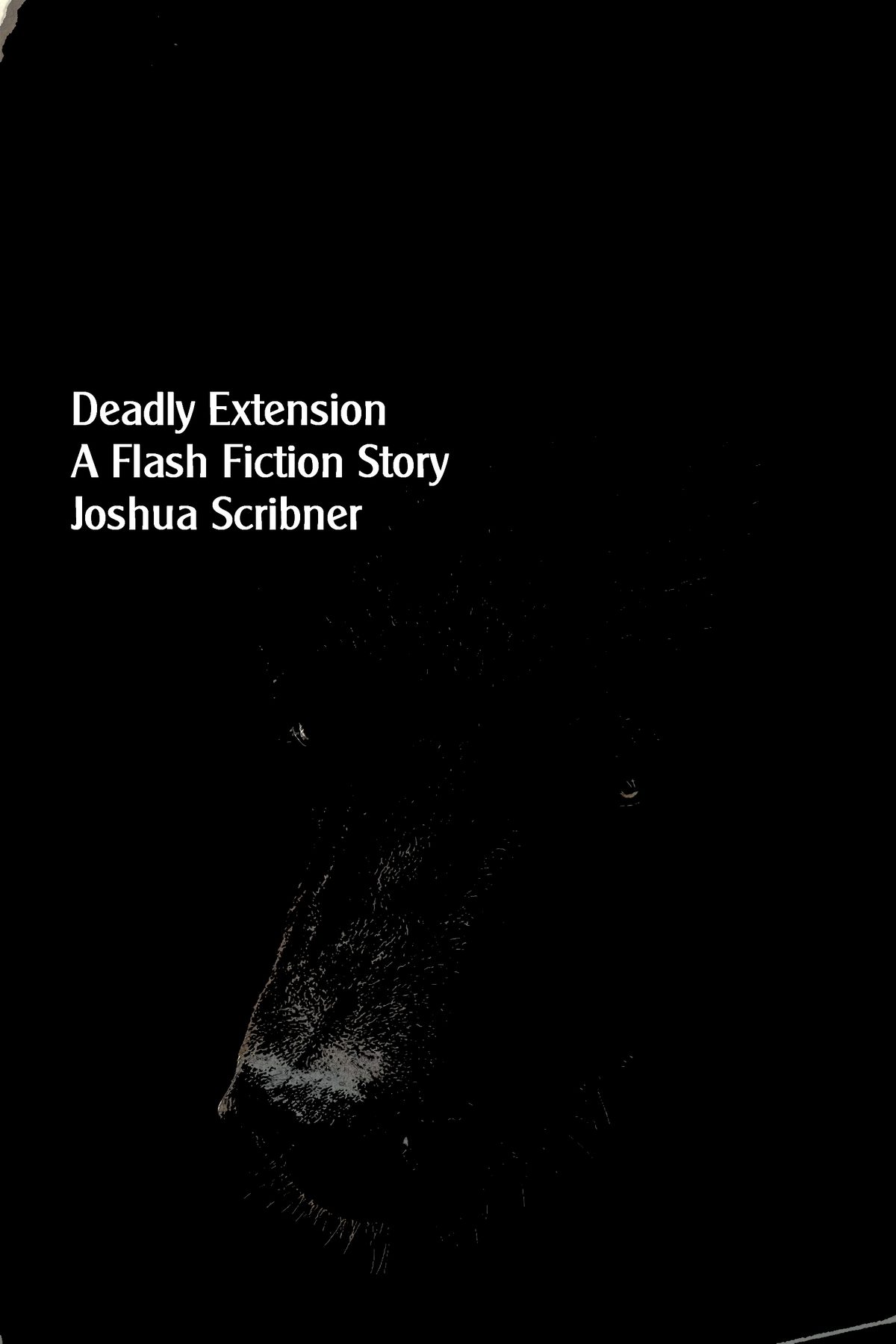 Deadly Extension: A Flash Fiction Story by Joshua Scribner