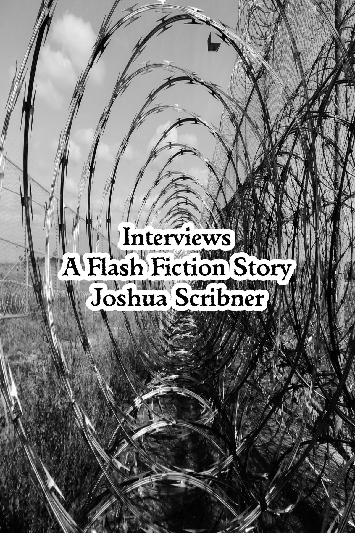 Interviews: A Flash Fiction Story by Joshua Scribner