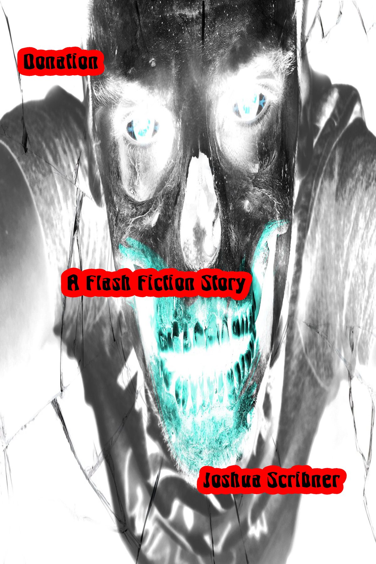 Donation: A Flash Fiction Story by Joshua Scribner