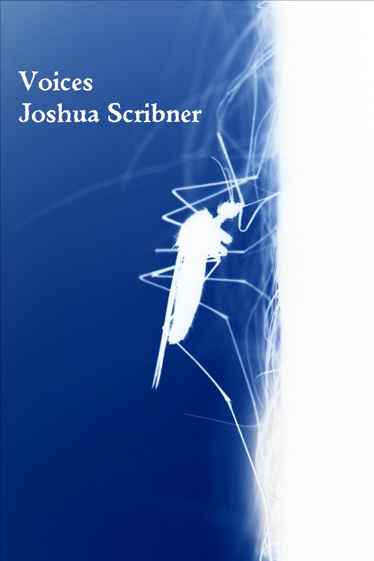 Voices by Joshua Scribner