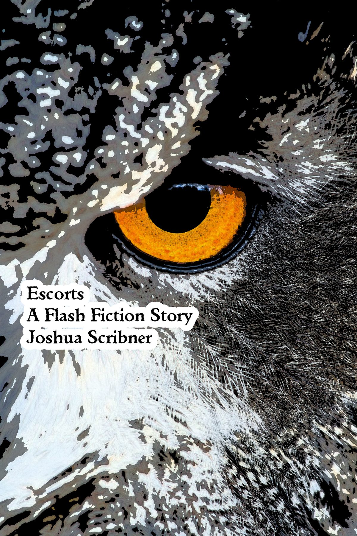 Escorts: A Flash Fiction Story by Joshua Scribner