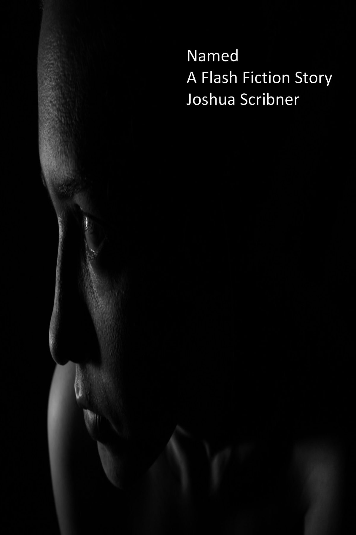 Named: A Flash Fiction Story by Joshua Scribner