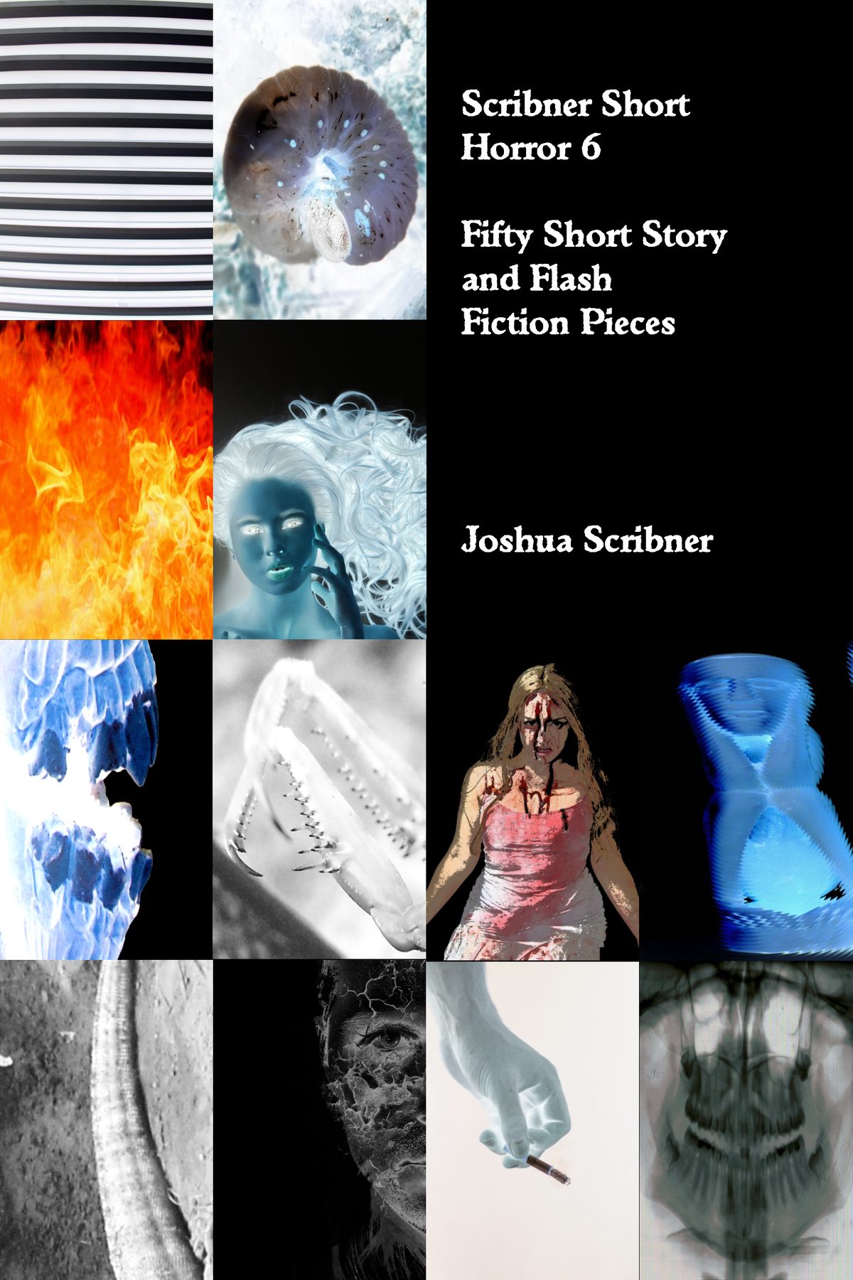 Scribner Short Horror 6 by Joshua Scribner