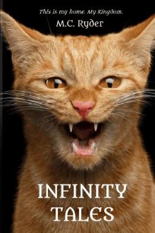 Infinity Tales by M. C. Ryder