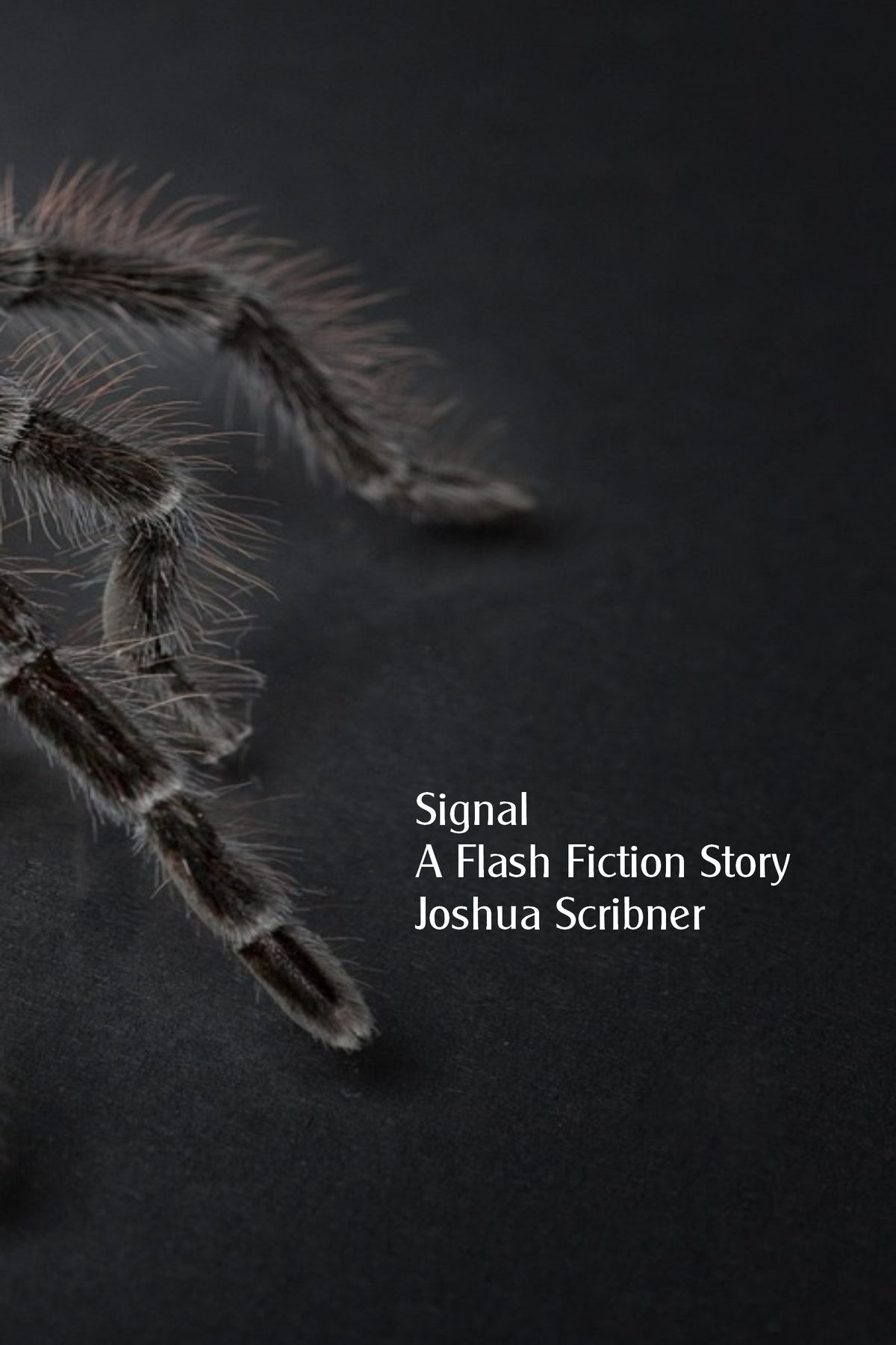 Signal: A Flash Fiction Story by Joshua Scribner