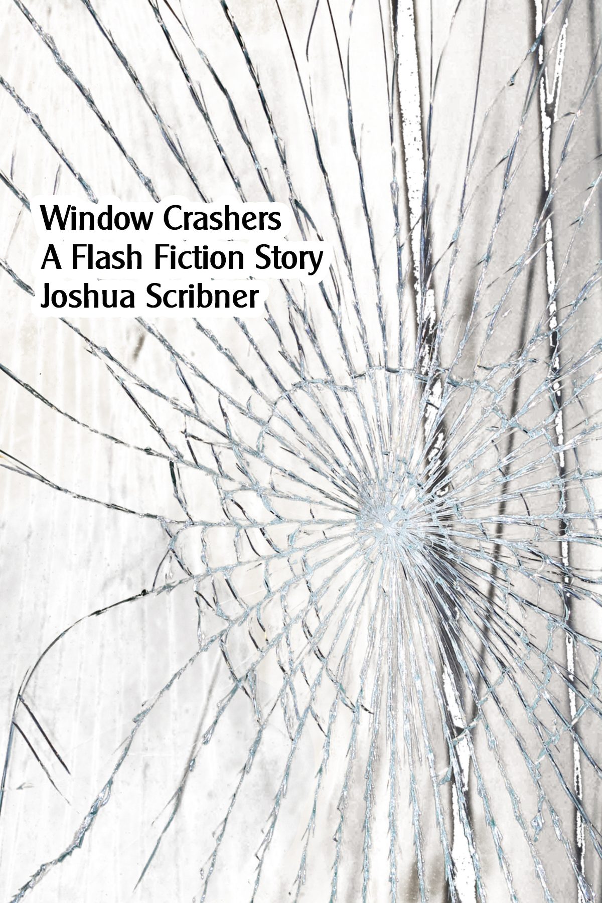 Window Crashers: A Flash Fiction Story by Joshua Scribner