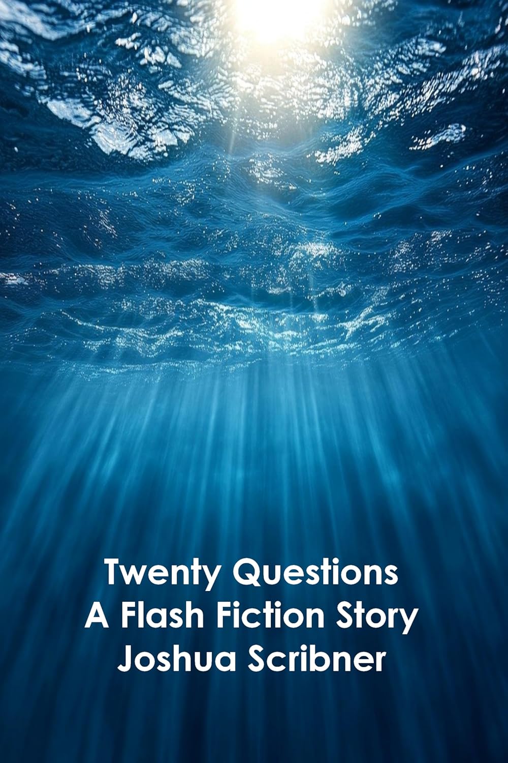 Twenty Questions: A Flash Fiction Story by Joshua Scribner
