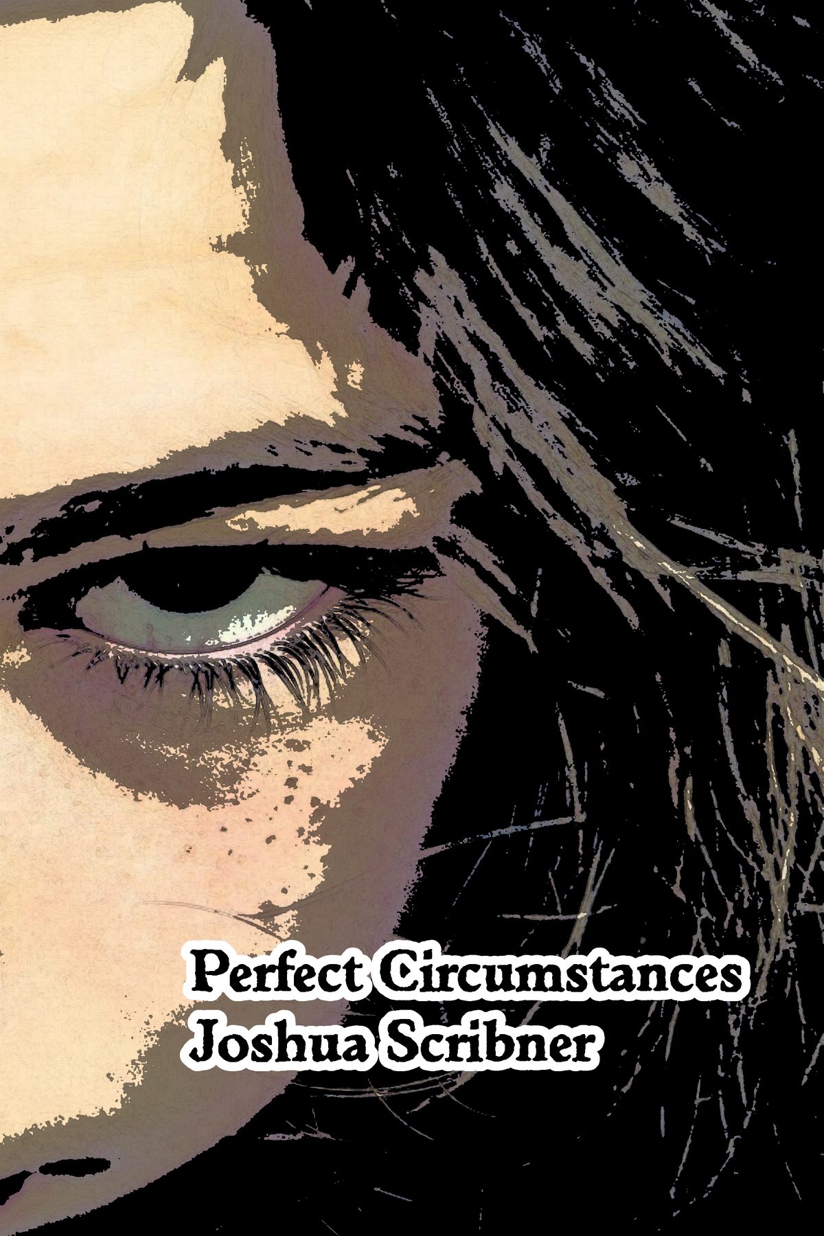 Perfect Circumstances by Joshua Scribner