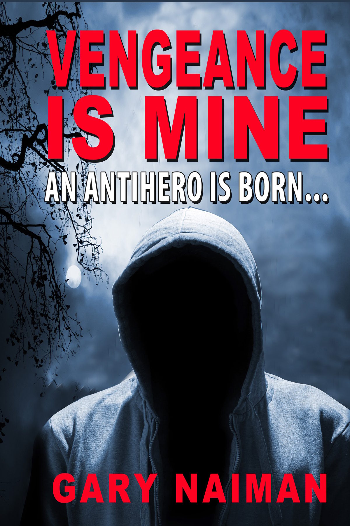 Vengeance is Mine by Gary Naiman