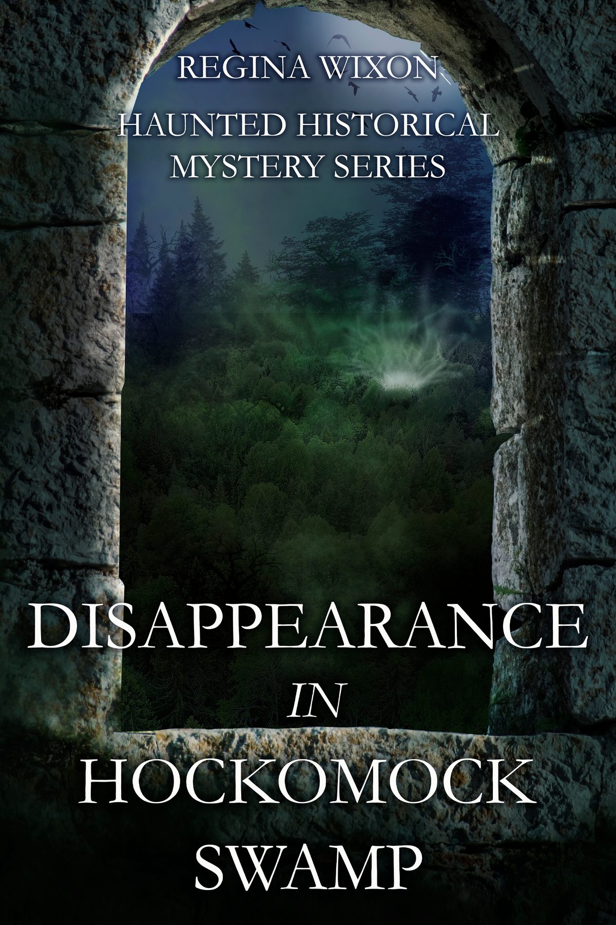 Disappearance in Hockomock Swamp by Regina Wixon