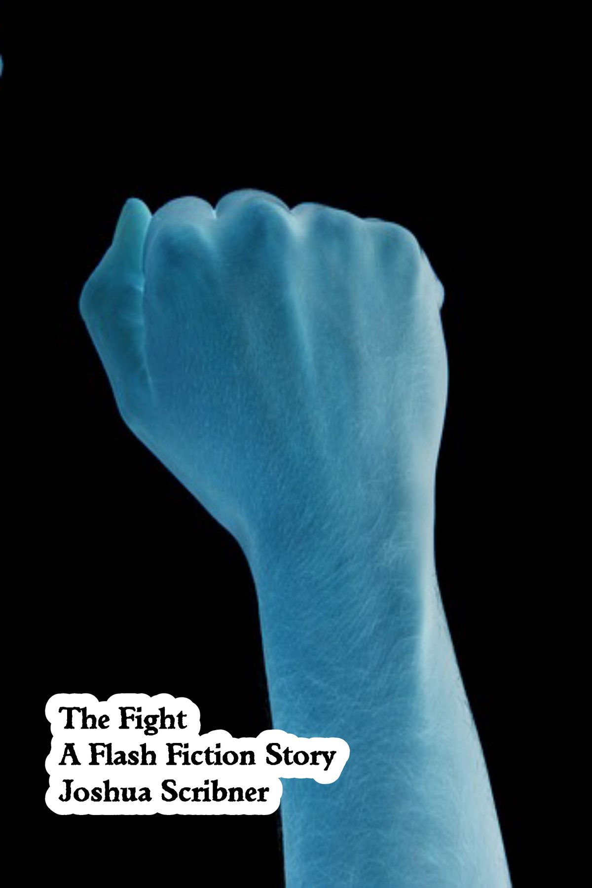 The Fight: A Flash Fiction Story by Joshua Scribner
