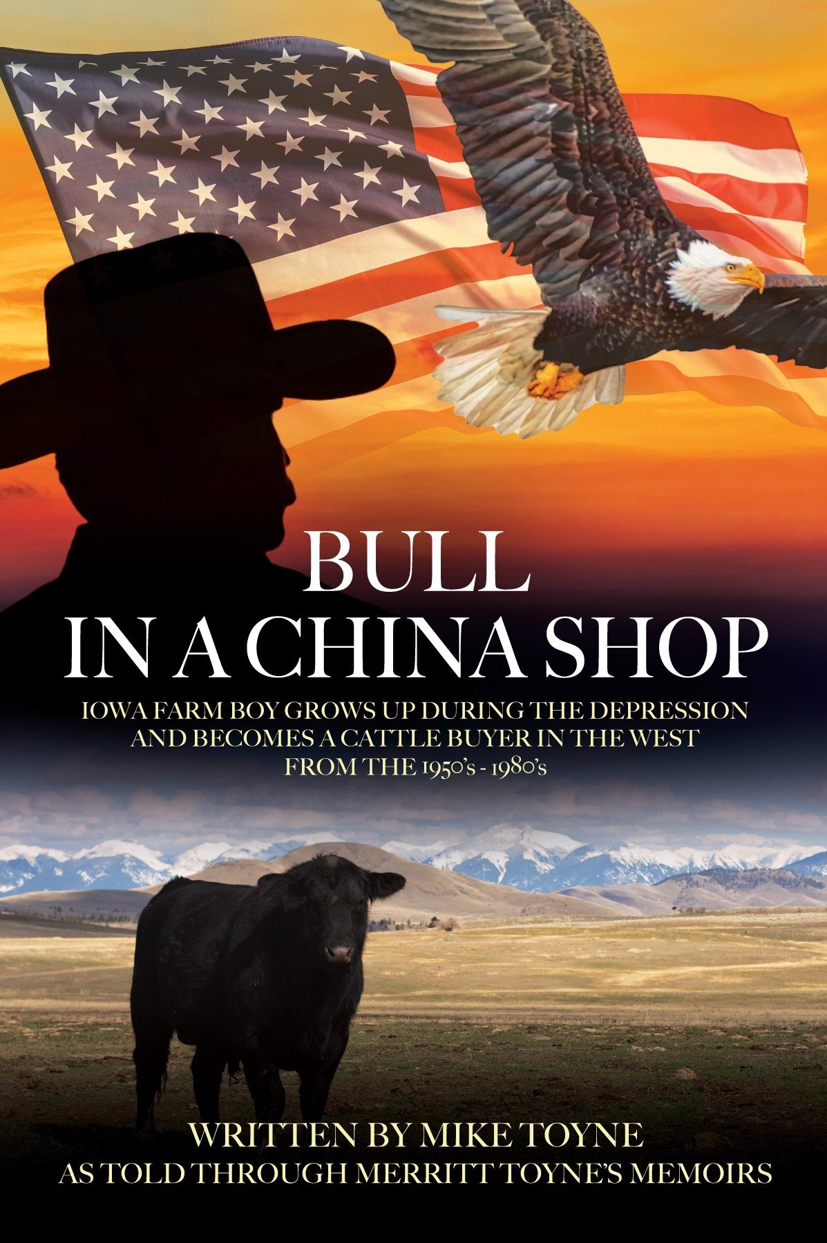 Bull In A China Shop by Mike Toyne