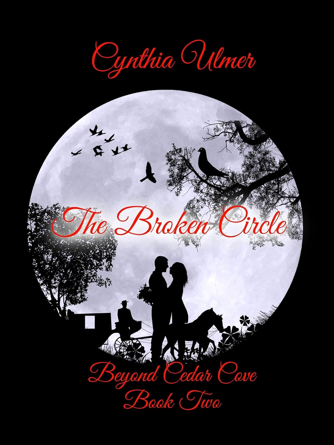 The Broken Circle, Beyond Cedar Cove, Book Two by Cynthia Ulmer