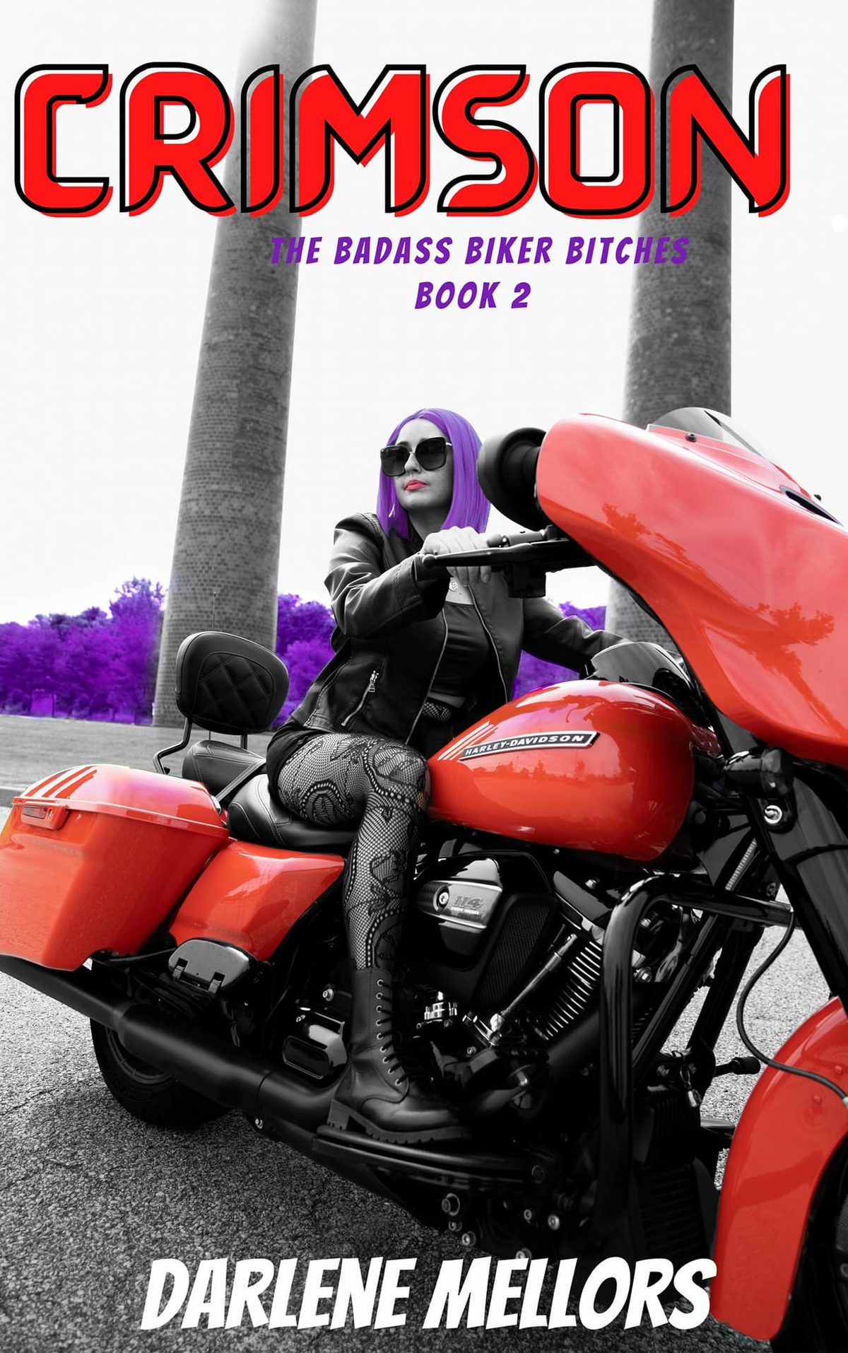 Crimson: BadAss Biker Bitches Book 2 by Darlene Mellors