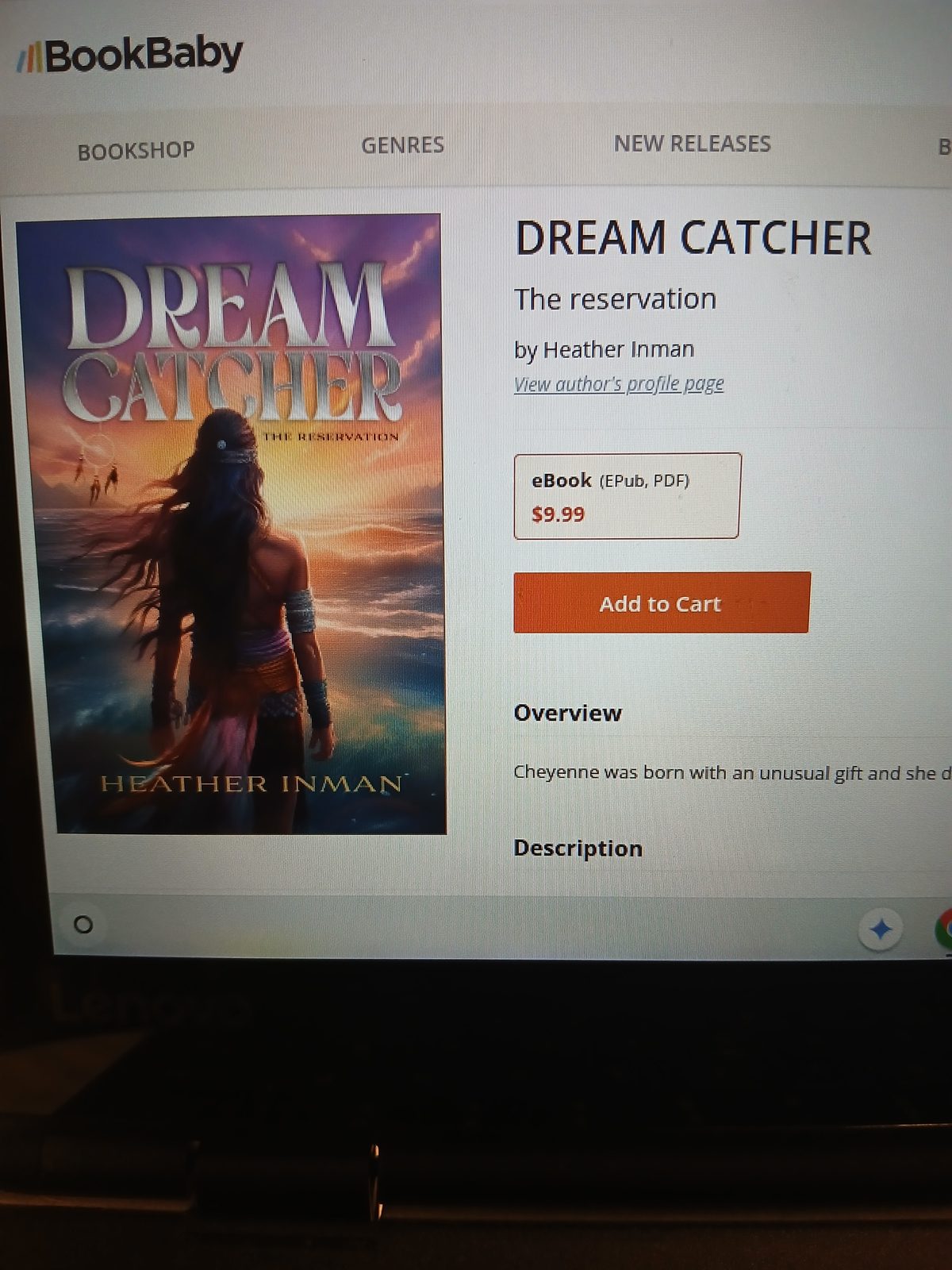 Dream Catcher by Heather Inman