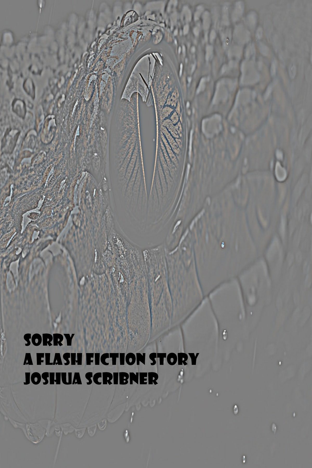 Sorry: A Flash Fiction Story by Joshua Scribner