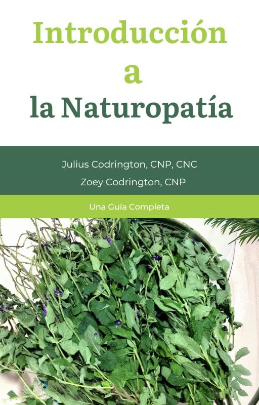 Introducción a la Naturopatía by Julius Codrington