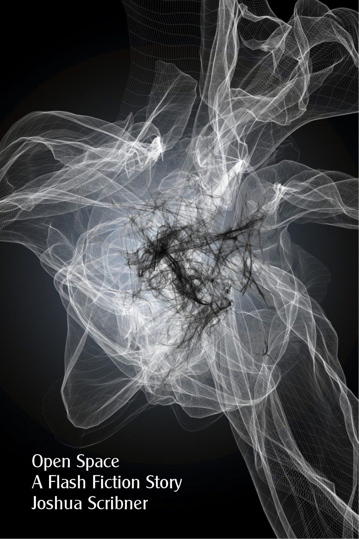 Open Space: A Flash Fiction Story by Joshua Scribner