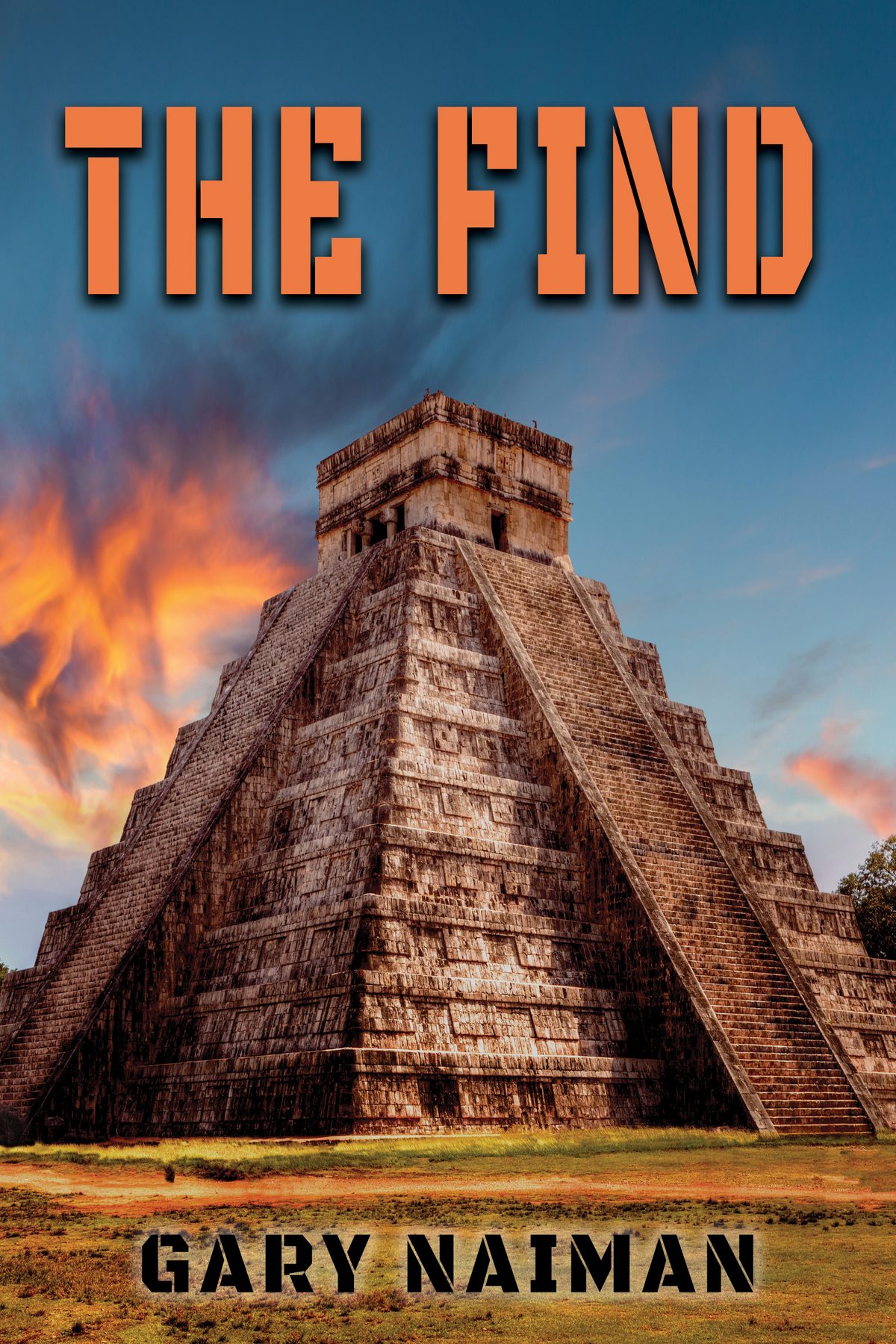 The Find by Gary Naiman