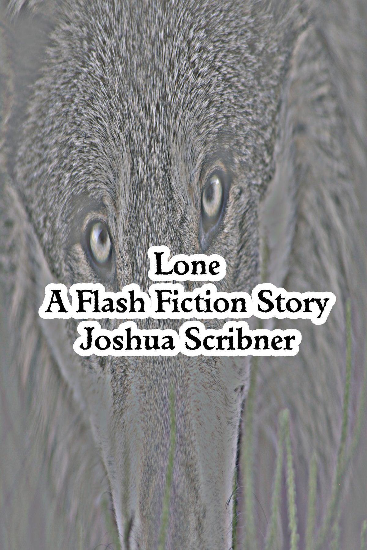 Lone: A Flash Fiction Story by Joshua Scribner