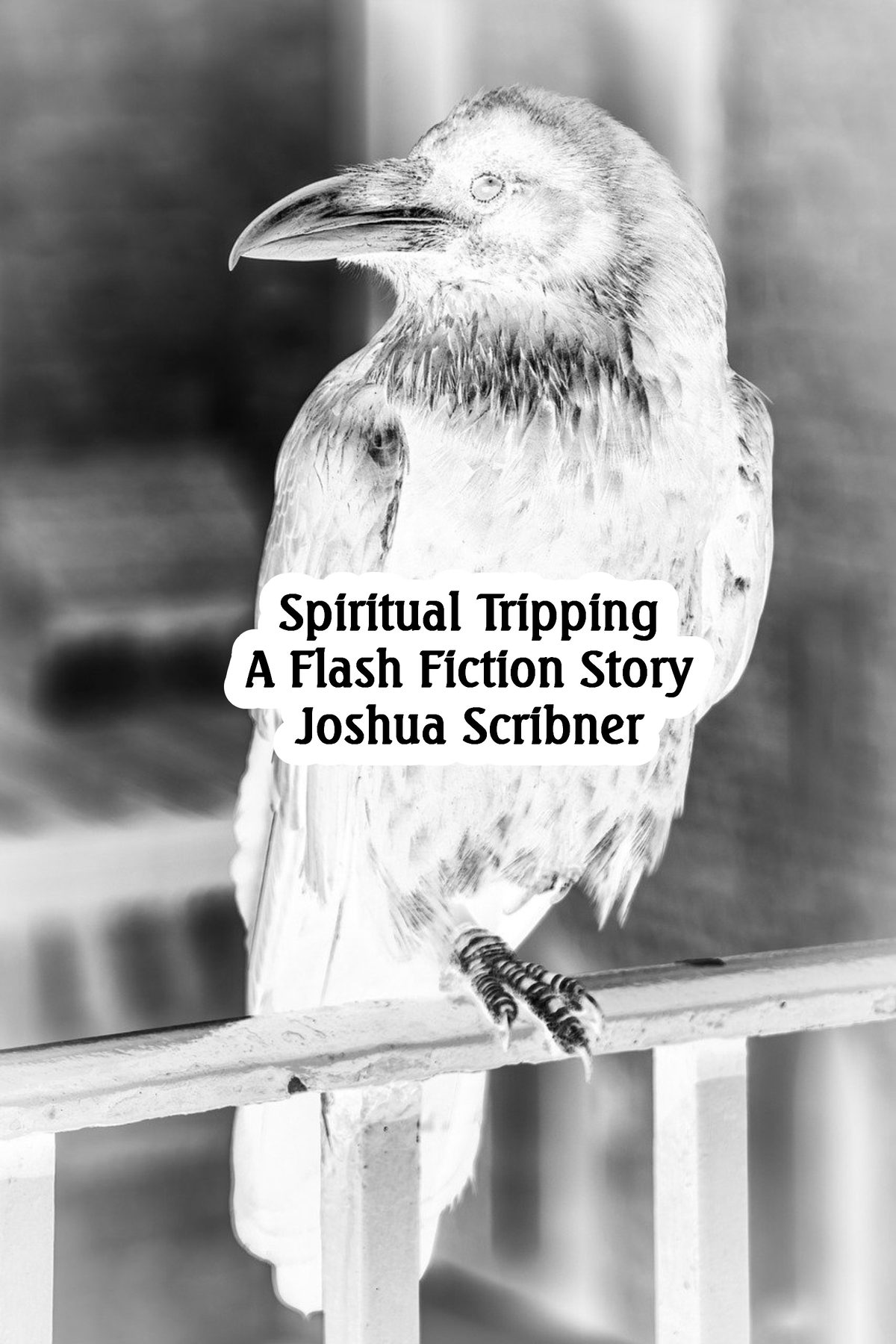 Spiritual Tripping: A Flash Fiction Story by Joshua Scribner