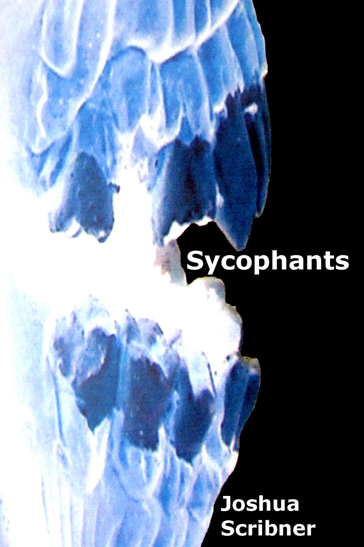 Sycophants by Joshua Scribner