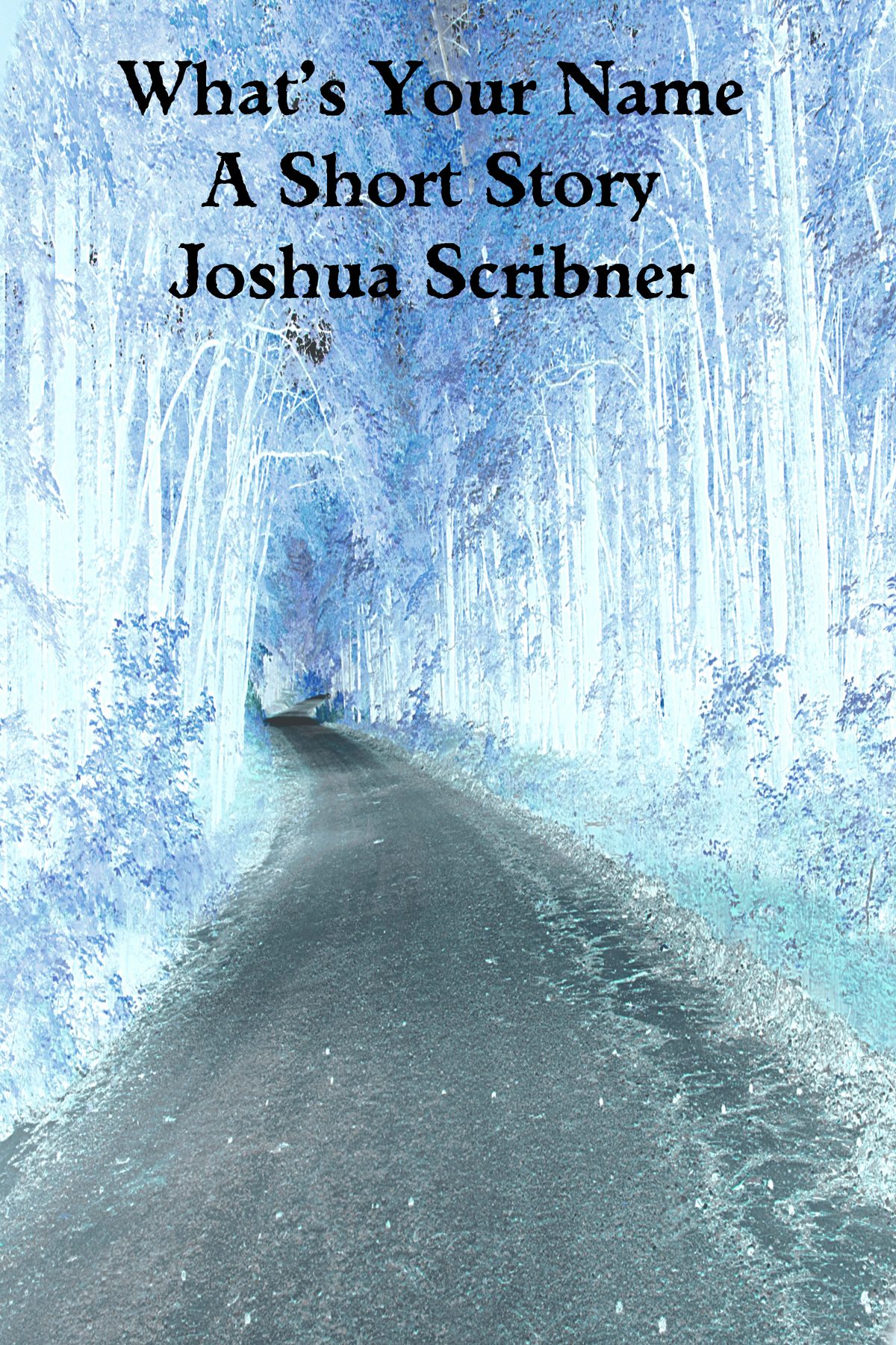 What’s Your Name: A Short Story by Joshua Scribner